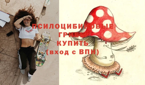 МДМА Белокуриха