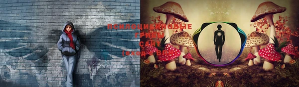 МДМА Белокуриха